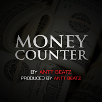 Money Counter (Single)