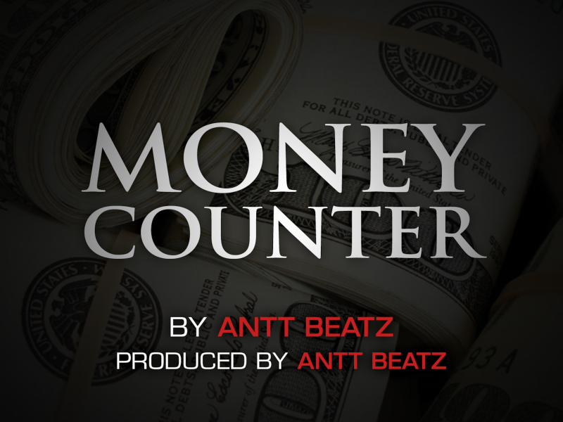 Money Counter (Single)