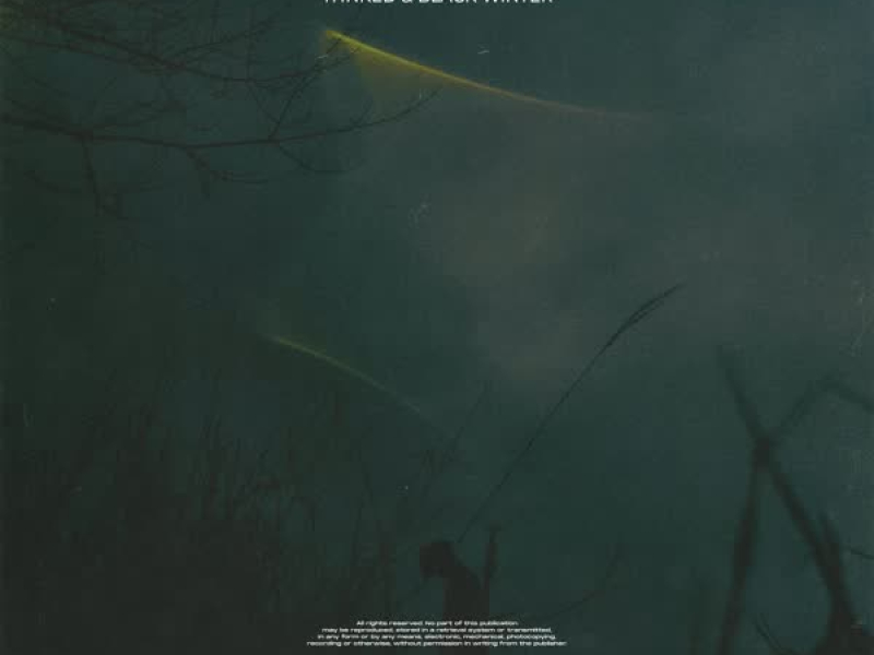 See You Again (Single)