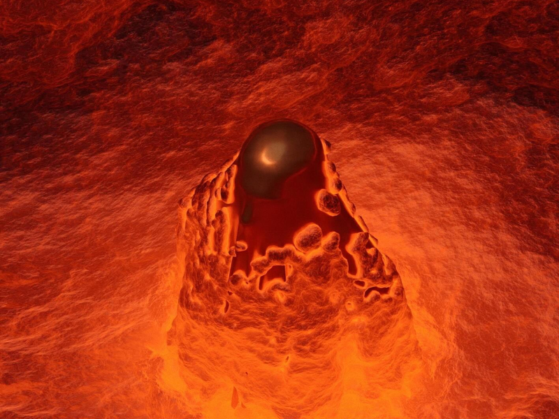 ZEMSTA DZIKUSA (Single)