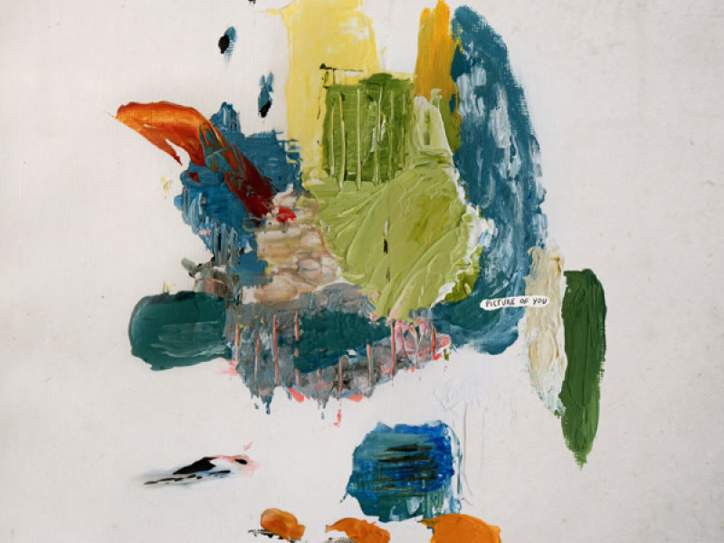 Picture of You (feat. Hayden Calnin) (Single)