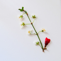 These People Are Not Me (Single)