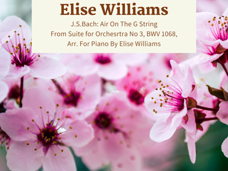 J.S.Bach: Air On The G String (Single)