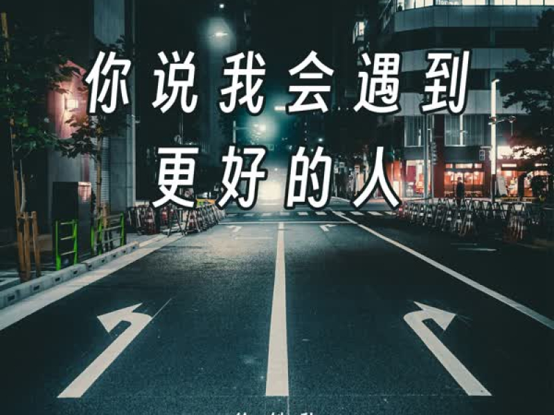 你说我会遇到更好的人 (Single)