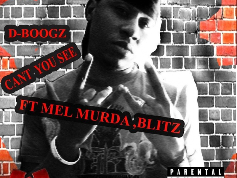 Can't You See (feat. Mel Murda & Blitz)