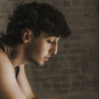 i wish you would call (Single)