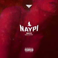 NayPi (Single)