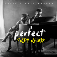 Perfect (FRDY Remix) (Single)