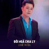 Đôi Ngã Chia Ly (Single)