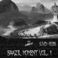 Brazil Moment Vol.1 (FUNK SLOWED + REVERB VERSION)