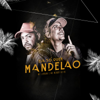 Ela Quer Só Mandelão (Single)