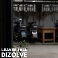 Leaves Fall (Single)