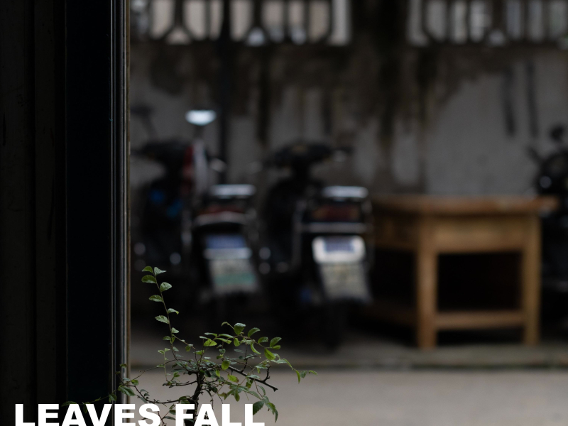 Leaves Fall (Single)