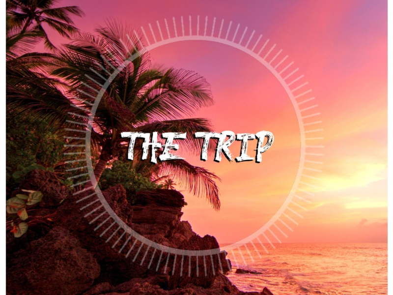 The Trip (Radio Edit) (Single)