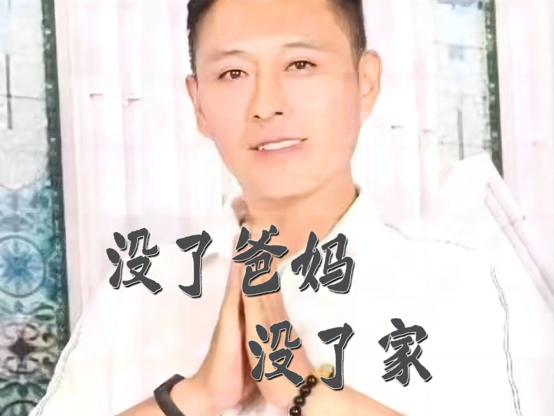 没了爸妈没了家（男版） (Single)