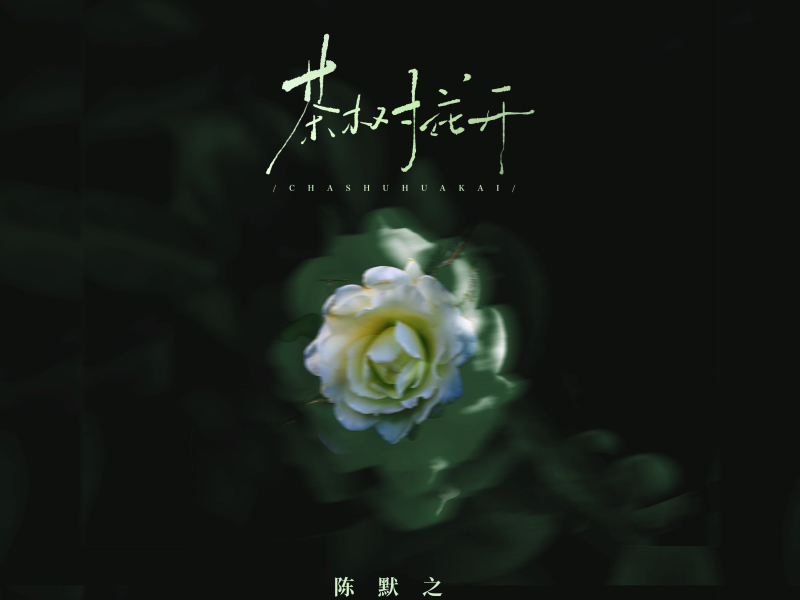 茶树花开 (Single)
