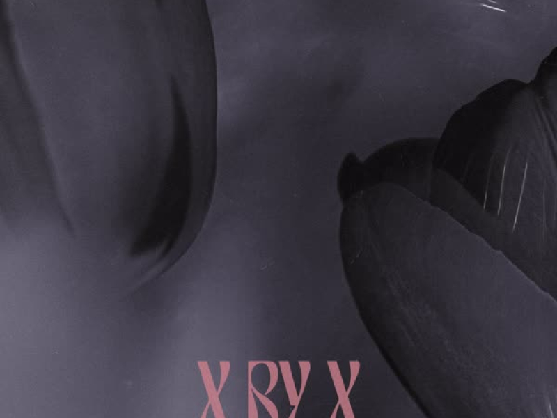 X by X [ Dream ] (Single)