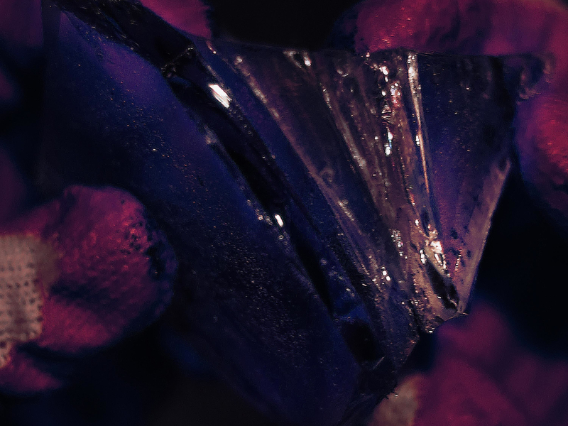 Piece 1: crushing (EP)