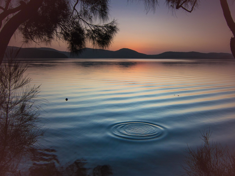 Evening Crickets Sounds to Help Focus and Study (Single)