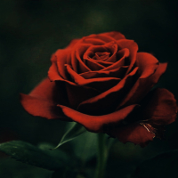 Kasoor (Instrumental) (Single)