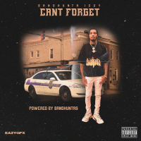 Can't Forget (Single)