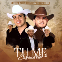 Tu Me Enseñaste (Single)