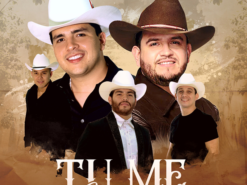 Tu Me Enseñaste (Single)