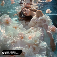 Can't Forget You (Single)