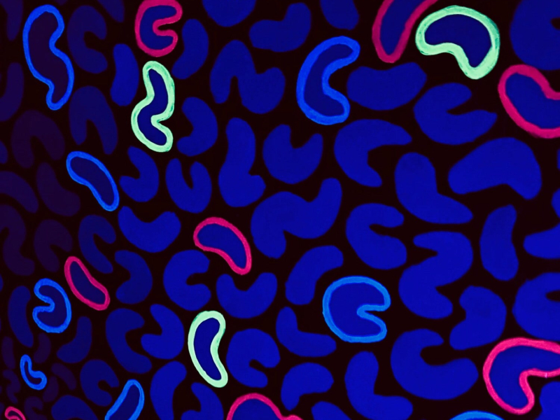 Magic Space (Single)