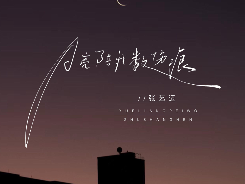 月亮陪我数伤痕 (DJ默涵版) (Single)