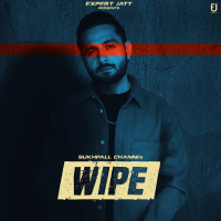 Wipe (Single)