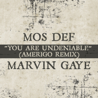 You Are Undeniable (Amerigo Remix) (Single)