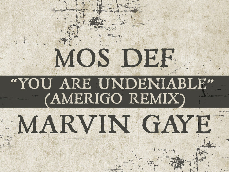 You Are Undeniable (Amerigo Remix) (Single)