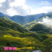 Tiệc Trà Sao (Trozgnhan) (Remix) (Single)