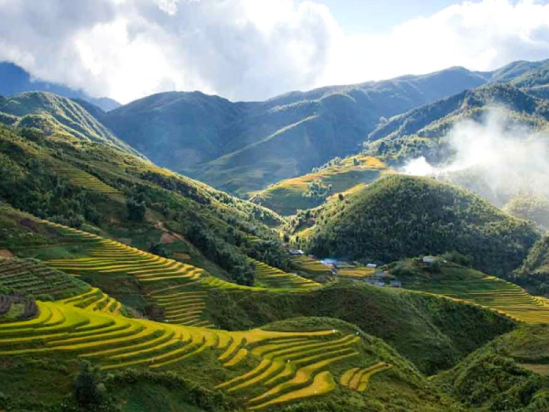 Tiệc Trà Sao (Trozgnhan) (Remix) (Single)