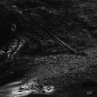 Into the Earth (Single)