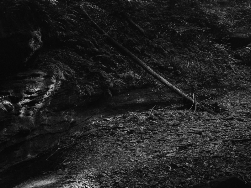 Into the Earth (Single)