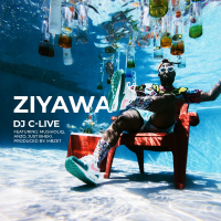 Ziyawa (Single)