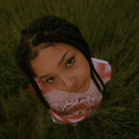 Nicht genug (MV) (Single)