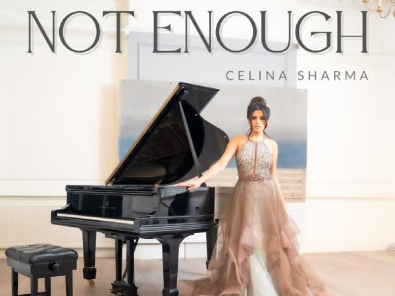 Not Enough (Single)