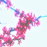 compilation two (Single)