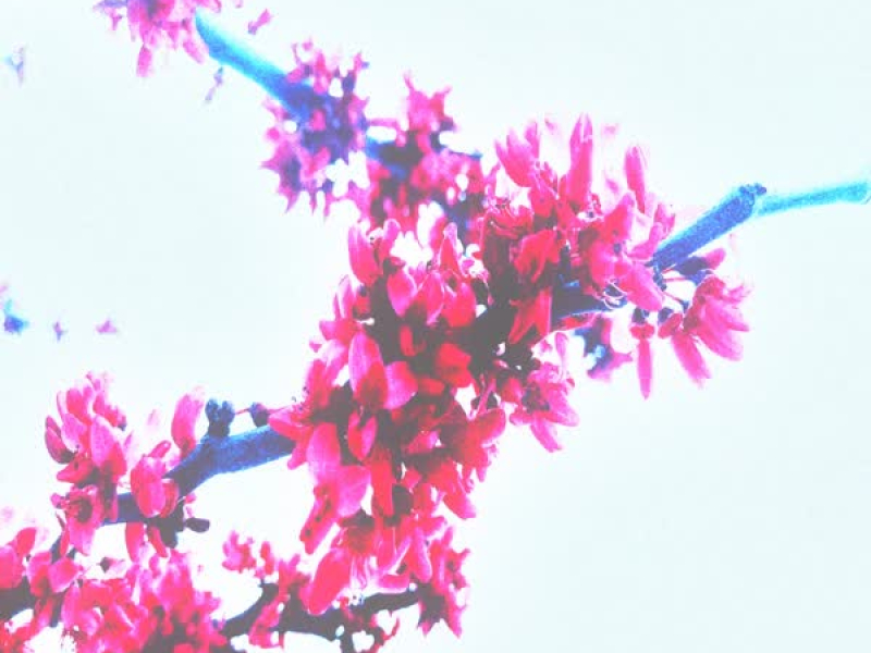 compilation two (Single)