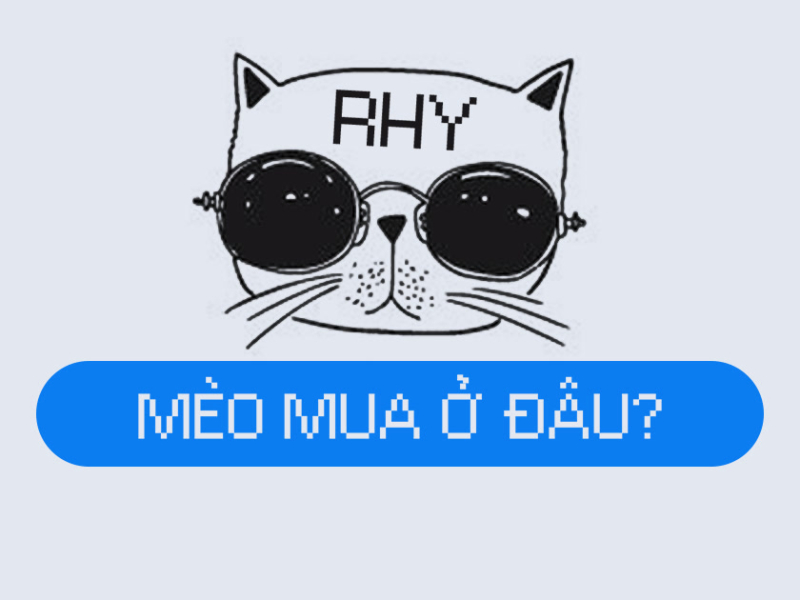 Mèo Mua Ở Đâu (Single)
