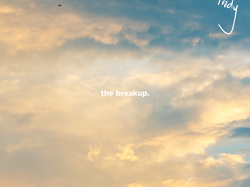 the breakup. (Single)