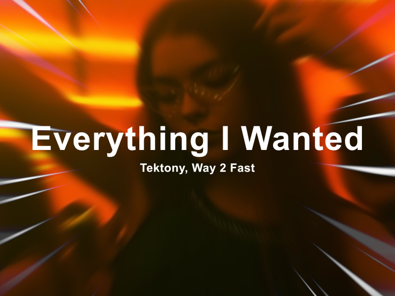 Everything I Wanted (Techno) (Single)