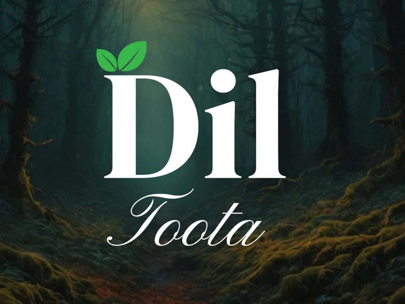 DIL TOOTA (Single)
