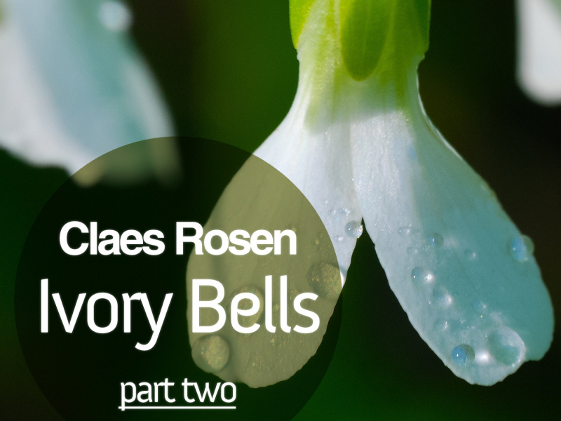 Ivory Bells, Pt. 2