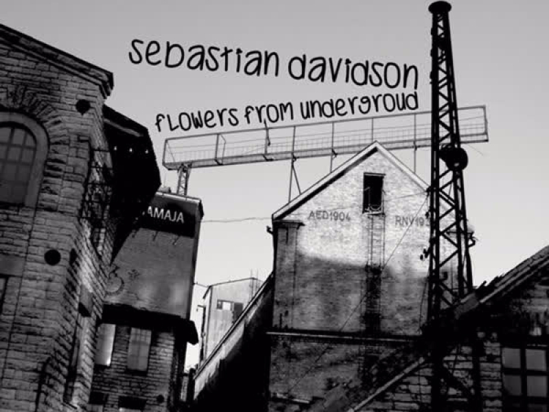 Flowers from Underground (Single)