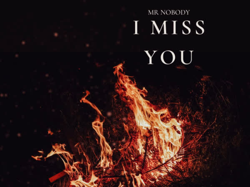 I MISS YOU (Single)