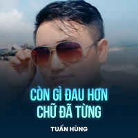 Còn Gì Đau Hơn Chữ Đã Từng (Chachacha) (Single)